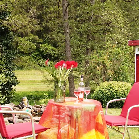 شقة Violetta 2-3 Personen - Wagner & Gaul Falkenauel. *