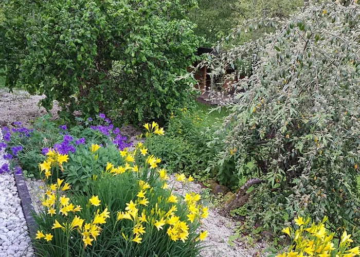 Violetta 2-3 Personen - Wagner & Gaul Falkenauel. *